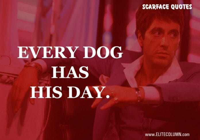 14 Best Scarface Quotes Only For 18 Years Old And Above | EliteColumn