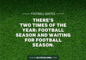 36 Football Quotes That Will Inspire You (2023) | EliteColumn