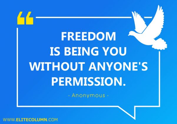 50 Freedom Quotes That Will Empower You (2023) | EliteColumn