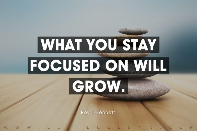 50 Focus Quotes That Will Inspire You (2024) | EliteColumn