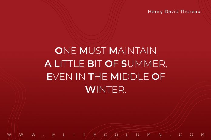 Summer Quotes 9 696x464 