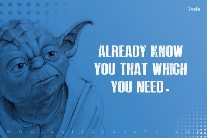 50 Yoda Quotes That Will Motivate You (2023) | EliteColumn